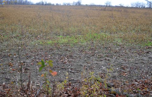 Property photo 23 - 80 Acres & Home - Property Offered in 4 Tracts from 2.3 to 30.0 Acres